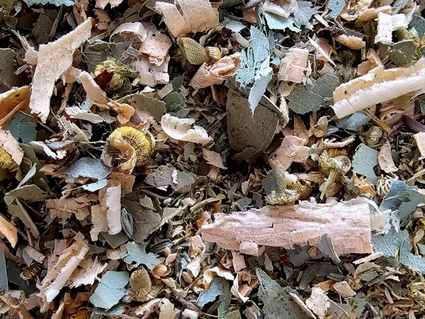 Streu Entspannung – Füllung (Detail) Streu Entspannung – Kräutermischung im Detail mit Arve, Eukalyptus und Kamille