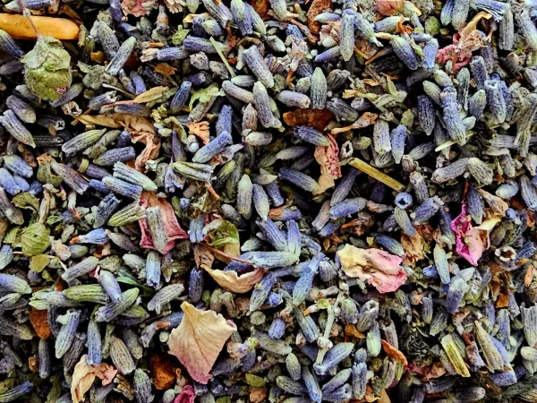 Streu Göttin – Füllung (Detail) Streu Göttin – Kräuter- und Blütenmischung im Detail mit Lavendel, Rosen und Jasmin