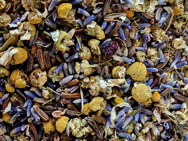 Streu Traumfänger – Kräutermischung im Detail mit Blüten und Harz